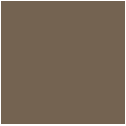 Керамогранит TopCer Victorian Designs L4429-1Ch Coffee Brown - Loose 10х10 фото