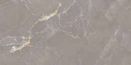 Керамогранит Basconi Home BHW-0016 Karna Brown Polished (Sinking Ink) 60х120 фото