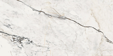 Керамогранит Lafaenza Ceramica Aesthetica AE PAO6 12 RM 60x120 фото