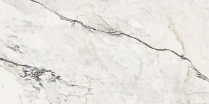 Керамогранит Lafaenza Ceramica Aesthetica AE PAO6 12 RM 60x120 фото