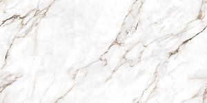 Керамогранит Ocean Ceramic India Infinity Statuario Super 60х120 фото