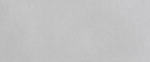 Плитка fQAX Milano Mood Perla RT 50x120