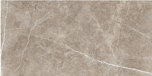 Керамогранит Usak Seramik Swindon Mocha Polished Technical Porcelain 60x120 фото