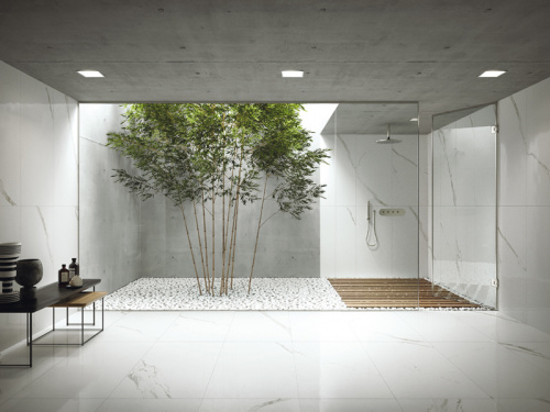 Керамогранит Ariostea Marmi Classici P612498 Gris De Savoie Soft 60x120 фото 2