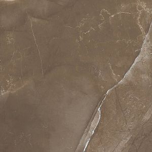 Керамогранит Cerdomus Pulpis 65415 Puro Nat/Rett 60х60 фото