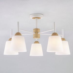 Люстра на штанге Eurosvet 70085/5 белый фото