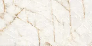 Керамогранит Ocean-Ceramic Iris Onyx White 80х160 фото