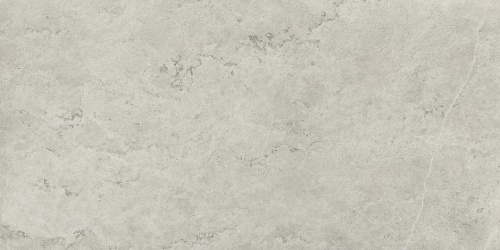 Керамогранит 610010002343 Metropolis Absolut Silver Nat Rett 80x160