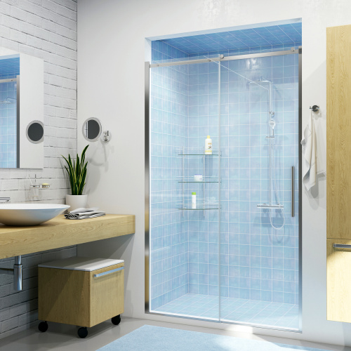 Wasserkraft Dinkel 58R31 Душевая дверь фото 2