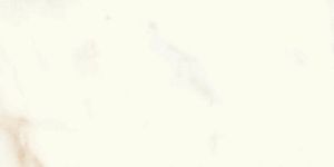Керамогранит Atlas Concorde A5TG Marvel Calacatta Delicato Silk 30x60 фото