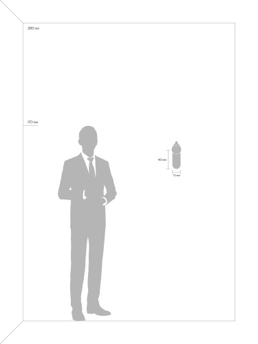 Настенный светильник (бра) Freya FR10002WL-L6B фото 8