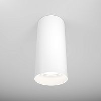 Потолочный светильник Maytoni Technical C010CL-01W фото