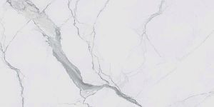 Керамогранит Rex Ceramiche I Classici Di Rex 746588 I Classici Statuario Soft Ret 60x120 фото