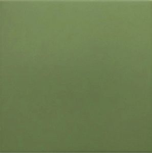 Керамическая плитка Equipe Rivoli 30716 Green 20x20 фото