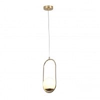 Подвесной светильник F-Promo 2913-1P фото