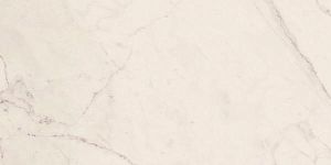 Керамогранит Lafaenza Ceramica TREX 12W RM White 60x120 фото