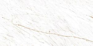 Керамогранит Ocean-Ceramic Nero White 60x120 фото