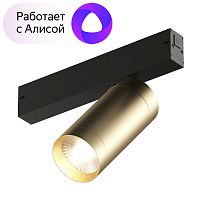 Светильник на шине Denkirs DK8020-BG фото