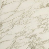 Керамогранит AEOE Marvel Royal Calacatta Mat. 60x60 фото