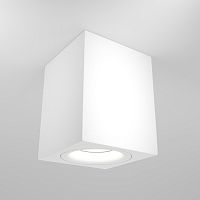 Потолочный светильник Maytoni Technical C013CL-01W фото