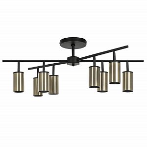 Люстра на штанге Lightstar LR728318 фото