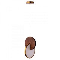 Подвесной светильник LOFT IT 9970C фото