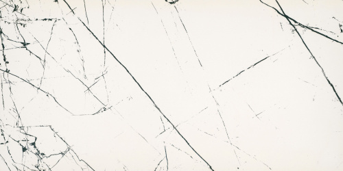 BIEN Agatha White 120x60 белый полированная фото 4