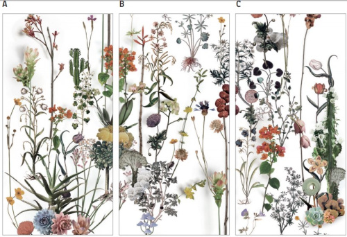 Керамогранит 41ZERO42 Paper41 Lux 4100716 Franz 60х120 