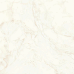 Керамогранит Atlas Concorde A4QO Marvel Calacatta Delicato Soft Touch R10B 60x60 фото