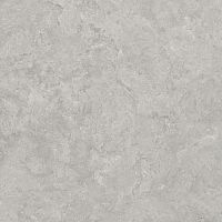 Керамогранит Creto 8162 Shell LG 60х60 фото