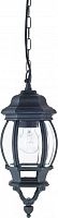 Подвесной уличный светильник Favourite 1806-1P фото