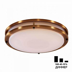 Накладной светильник Citilux CL709503N фото