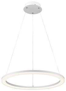 Подвесной светильник WERTMARK WE410.01.003 фото