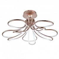 Накладная люстра Favourite 2547-10U фото