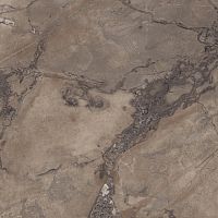 Керамогранит Ariana PF60004408 Epoque Brown Ret 60х60 фото