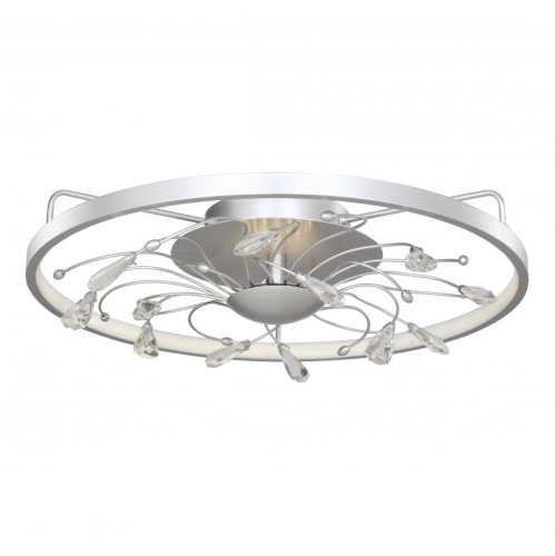 Накладной светильник Favourite 2523-5C