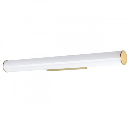 Светильник для картин Odeon Light 6618/12WL