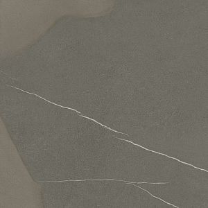 Керамогранит 610010002338 Metropolis Arcadia Brown Nat Rett 80x80 фото