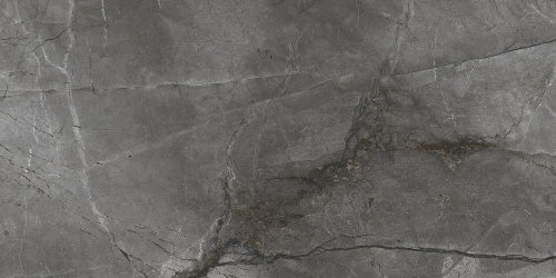 BIEN Root Silver 120x60 серый полированная фото 6