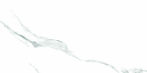 QUA Granite Statuario 120x60 белый полированная фото 5