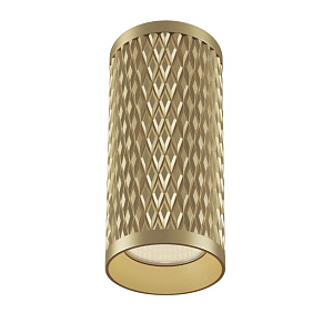 Потолочный светильник Maytoni Technical C036CL-01G фото