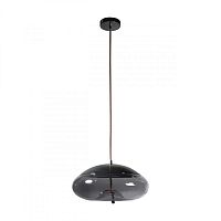 Подвесной светильник LOFT IT 8134-D фото