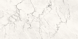 Керамогранит Lafaenza Ceramica Aesthetica AE CAL6 12 LP 60x120 фото