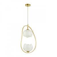 Подвесной светильник Odeon Light 4873/2 фото