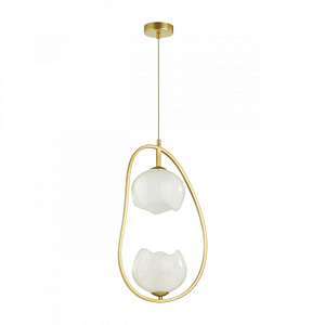 Подвесной светильник Odeon Light 4873/2 фото