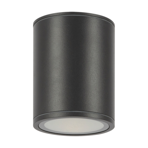 Потолочный светильник Outdoor O306CL-L12GF фото 8