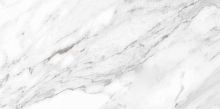 Керамогранит North Gloss White 49.1x98.2 фото