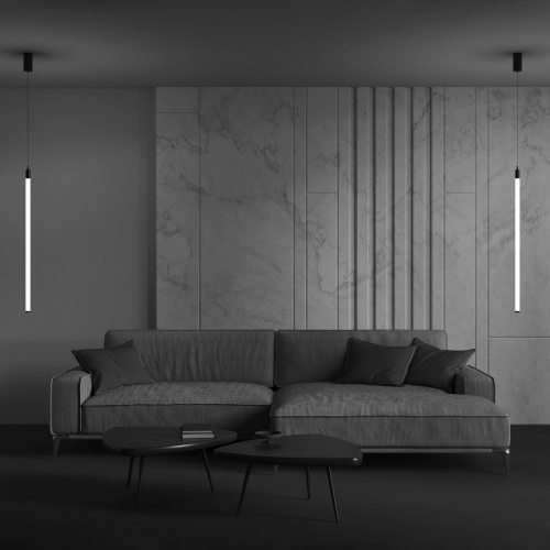 Подвесной светильник Maytoni Technical P022PL-L20B3K фото 4