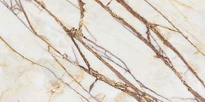 Керамогранит Ava Ceramica 277102 Marmi Siciliani Bianco Imperiale Lap Ret 60x120 фото