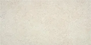 Керамогранит KTL Oregon CAN5OREGODPA Ivory MT 60x120 фото